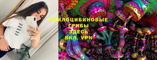дживик Алексеевка