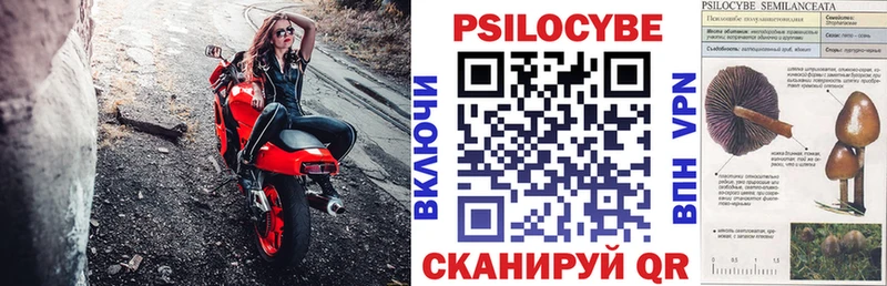 ОМГ ОМГ сайт  Жирновск  Псилоцибиновые грибы мицелий 